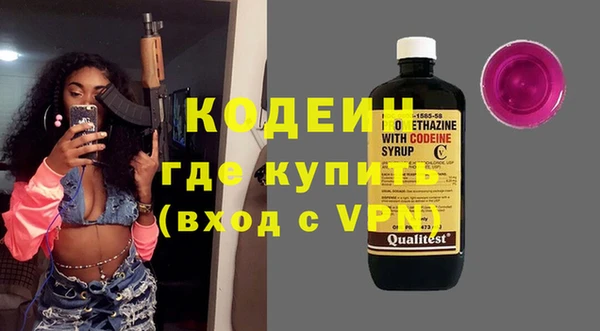 стаф Касимов