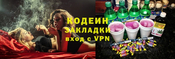 стаф Касимов
