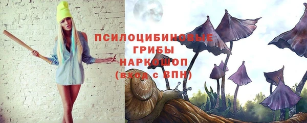 не бодяженный Туринск