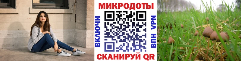 наркота  Ангарск  Псилоцибиновые грибы мицелий 